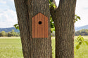Teak Birdhouse